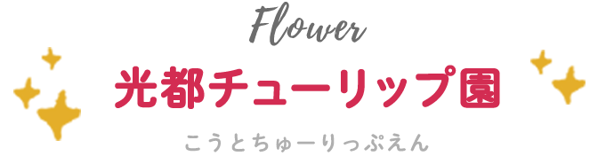 光都チューリップ園