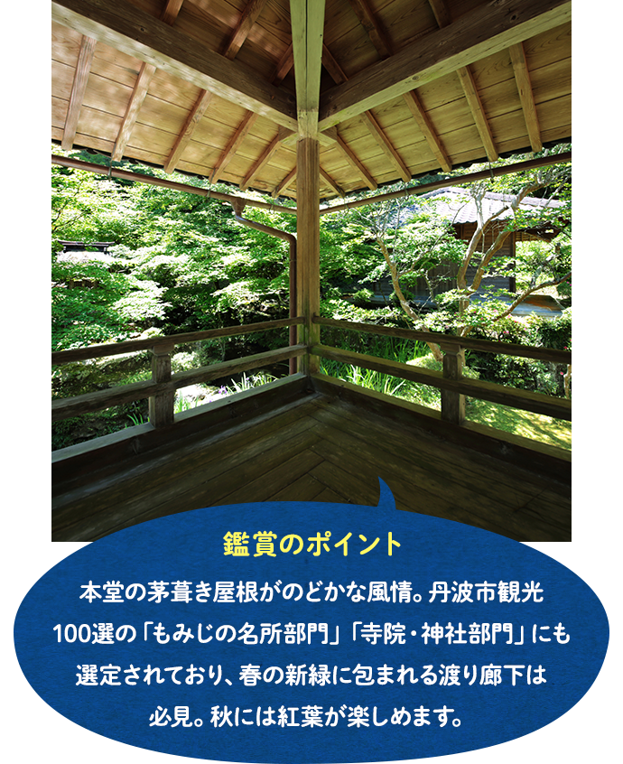 慧日寺